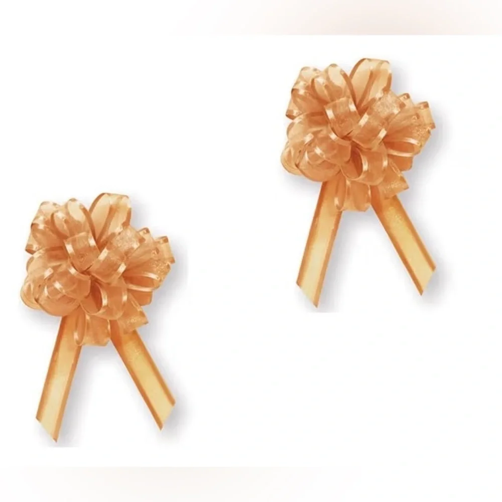 6 pack Gold Sheer And Metallic Gift Pull Bows